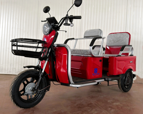 Двуместна електрическа триколка 005 с карго отделение 1500W 60V 23Ah